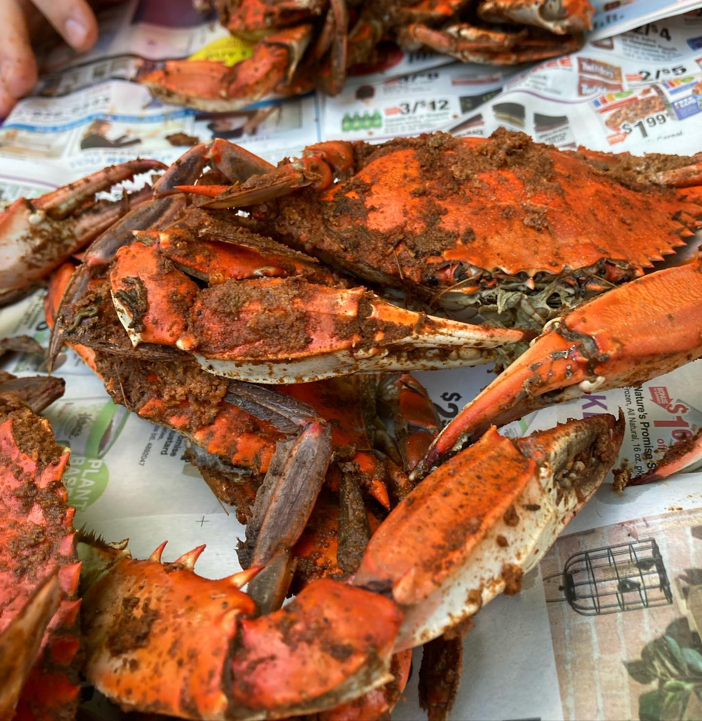 It’s a Maryland thing 😎 . . . . . . #marylandcrabs #steamedcrabs #crabfeast #baltimore #maryland #oldbay #crabmeat #whatsonmyplate #dmvblogger #seafood #seafoodlover #crabs #crablegs🦀
